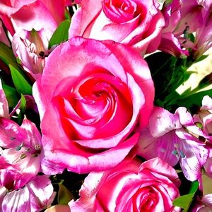 Meet your Posher, Veronica